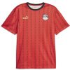 Egypt Home Jersey 2024