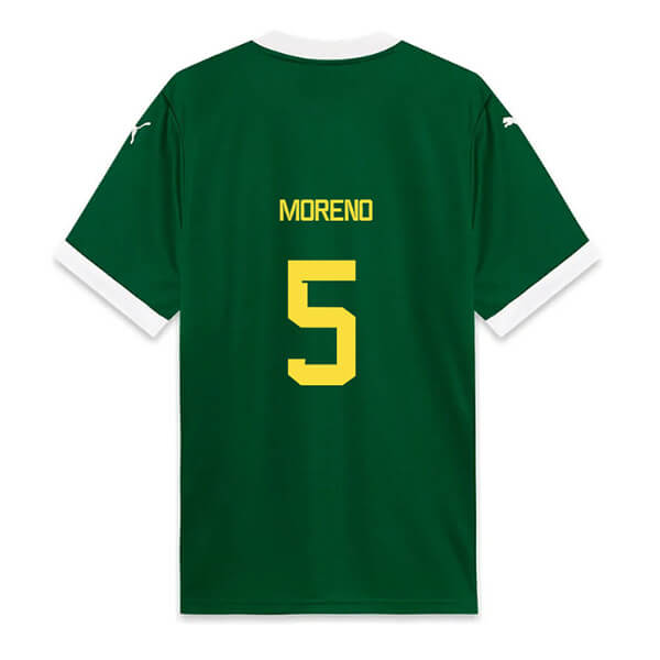 Palmeiras Home 2025