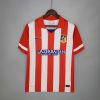 Atletico Madrid Home Jersey 13-14