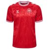 Denmark Home Jersey 2024