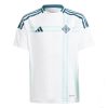 Northern Ireland Away Jersey 2024