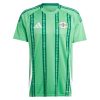 Northern Ireland Home Jersey 2024