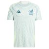 Mexico Away Jersey 2024