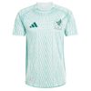 Mexico Away PLAYER VERSION Jersey 2024