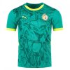 Senegal Away Jersey 24/25